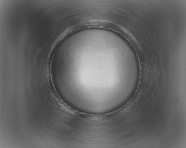 X0000082141362200702092114