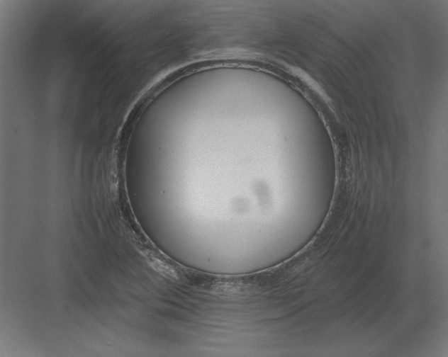 X0000082141364200702092114