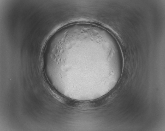 X0000082141367200702092114