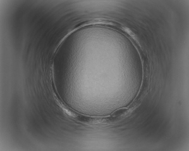 X0000082141369200702092114