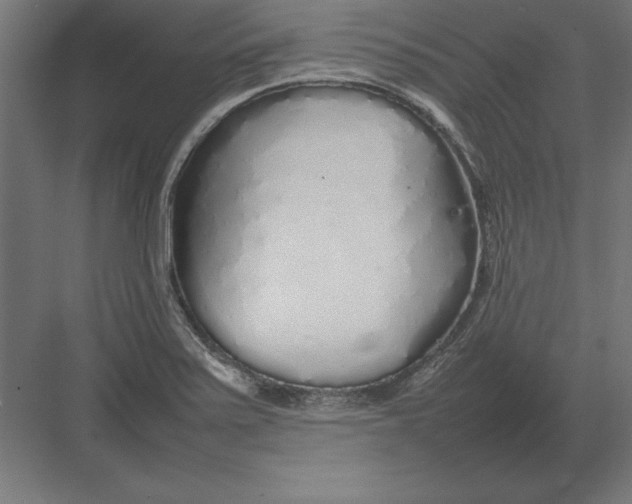 X0000082141371200702092114