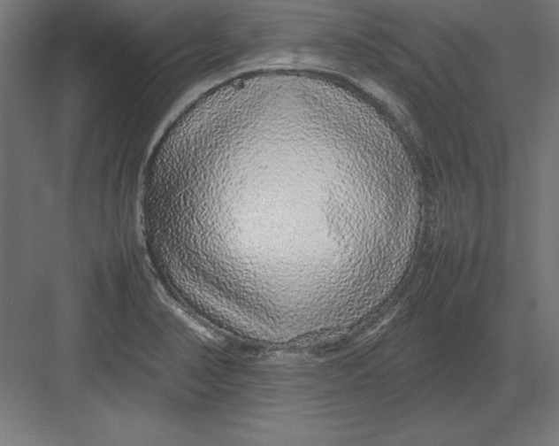 X0000082141374200702092114