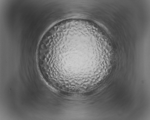 X0000082141375200702092114