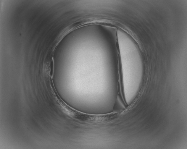 X0000082141377200702092114