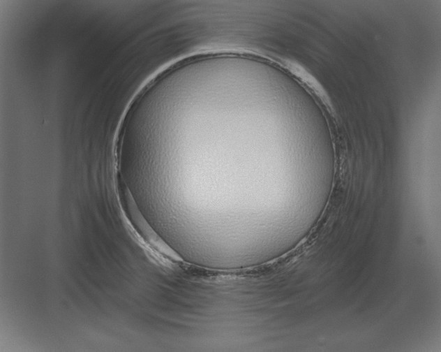 X0000082141380200702092114