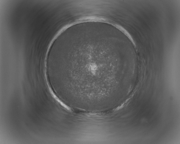 X0000082141381200702092114