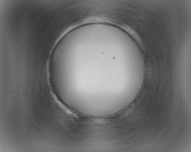 X0000082141382200702092114