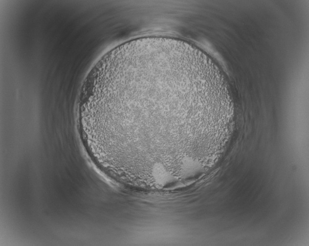 X0000082141383200702092114