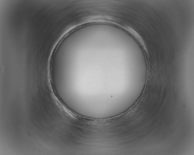 X0000082141384200702092114