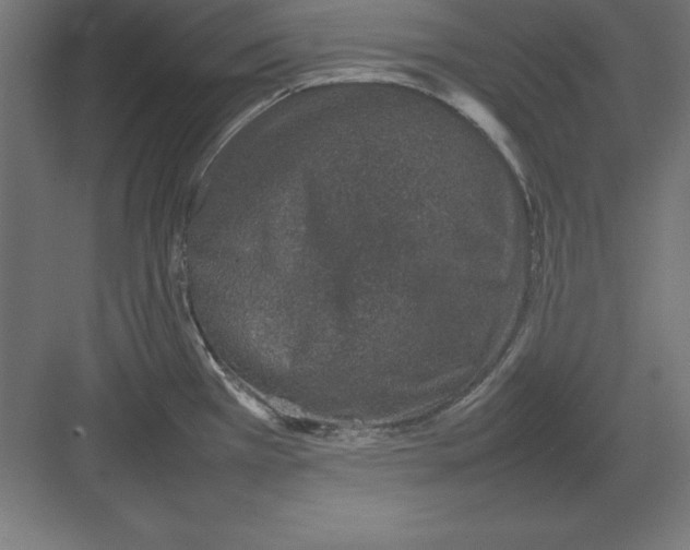 X0000082141385200702092114