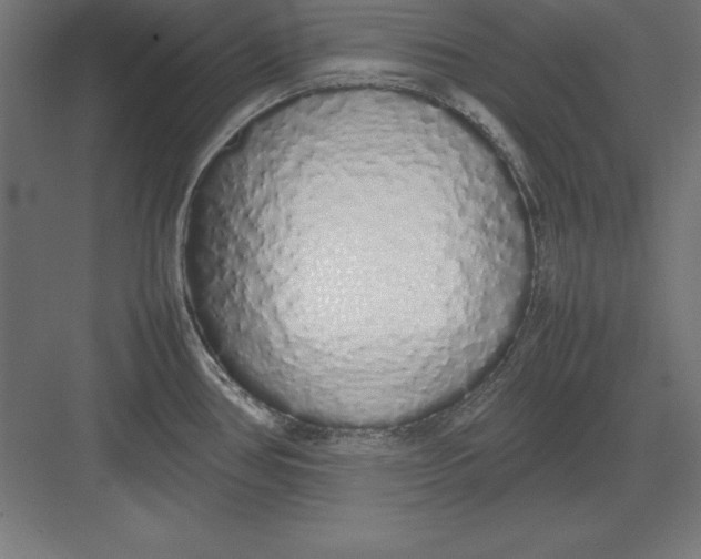 X0000082141386200702092114