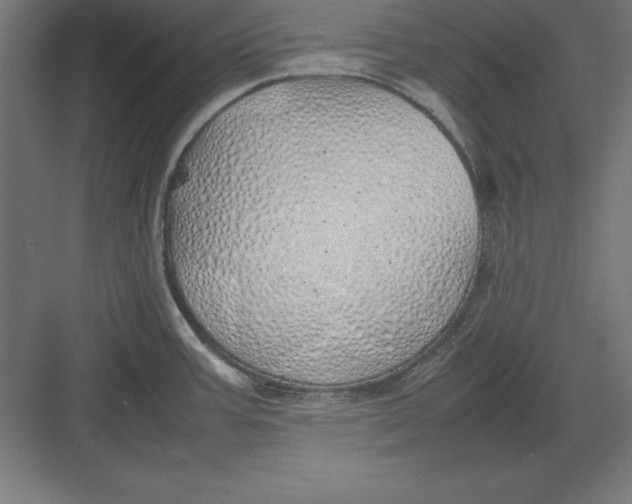 X0000082141387200702092114