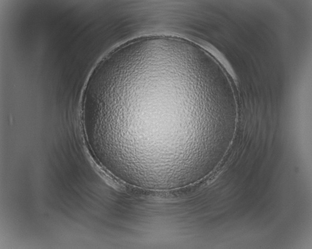 X0000082141388200702092114