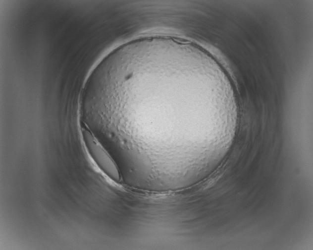 X0000082141390200702092114