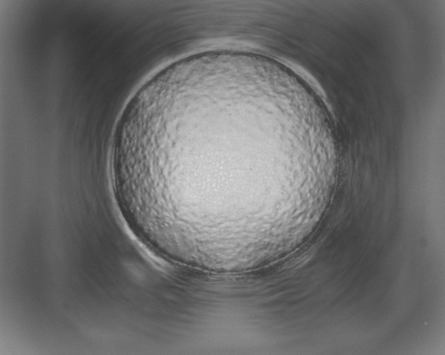 X0000082141391200702092114