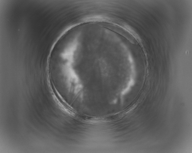 X0000082141392200702092114