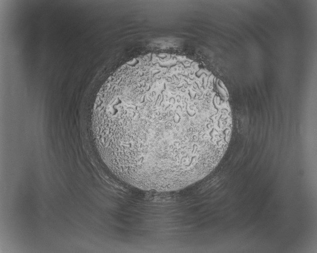 X0000082141393200702092113