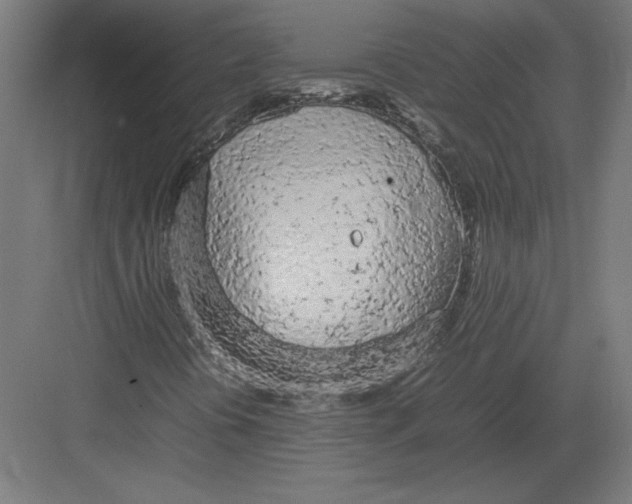 X0000082141394200702092113