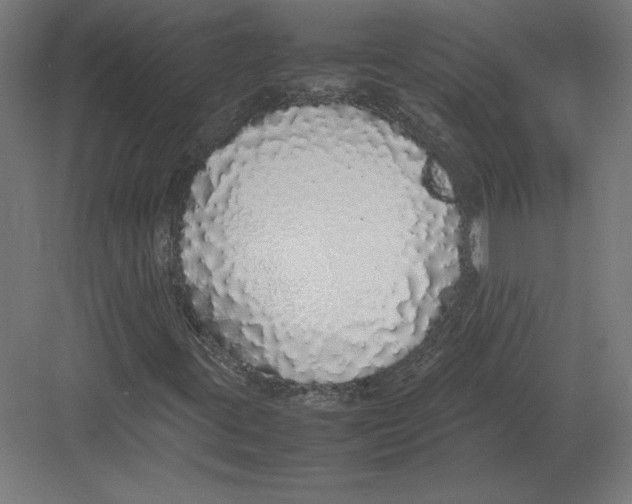 X0000082141395200702092113