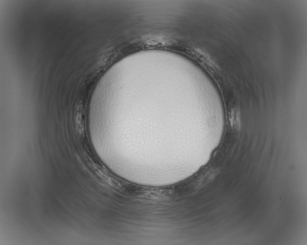 X0000082141396200702092113