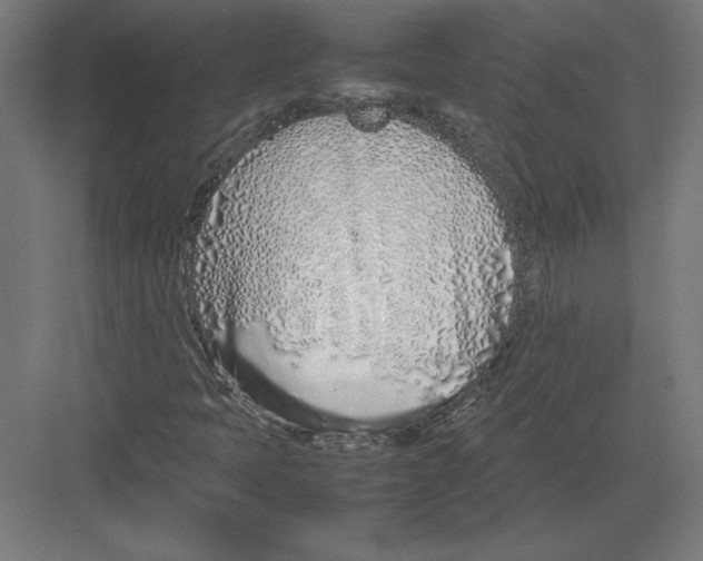 X0000082141397200702092113