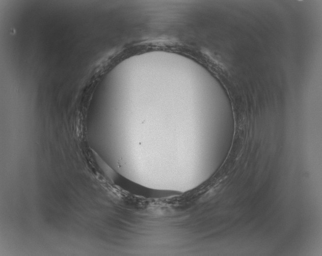 X0000082141398200702092113