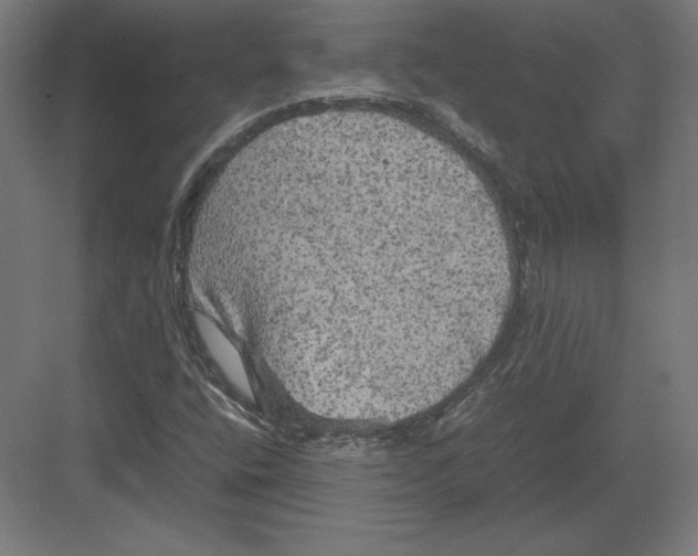 X0000082141400200702092113