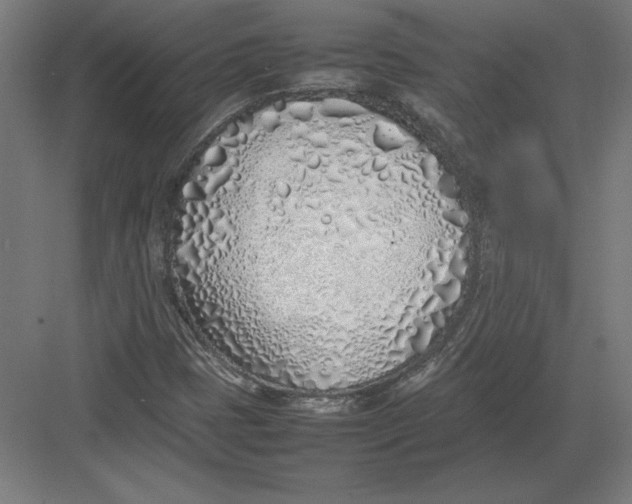 X0000082141401200702092113