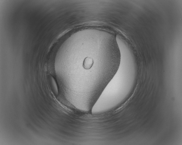 X0000082141402200702092113