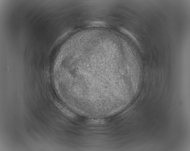 X0000082141403200702092113