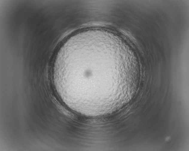 X0000082141404200702092113