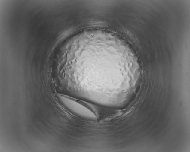 X0000082141405200702092113