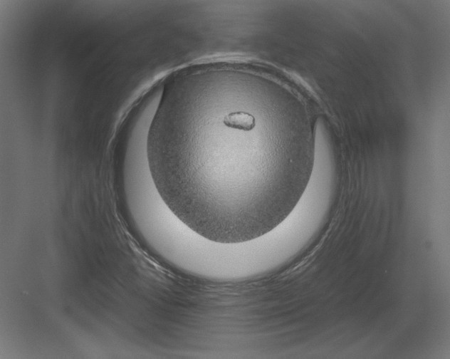 X0000082141406200702092113