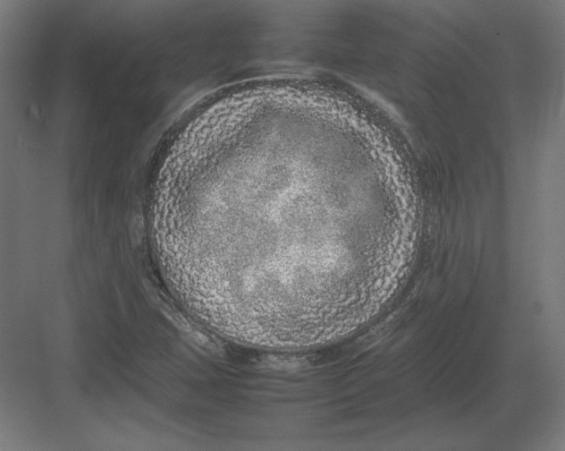 X0000082141407200702092113