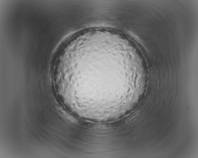 X0000082141408200702092113