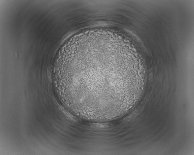 X0000082141409200702092113