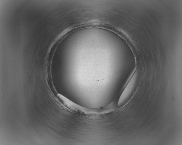 X0000082141410200702092113