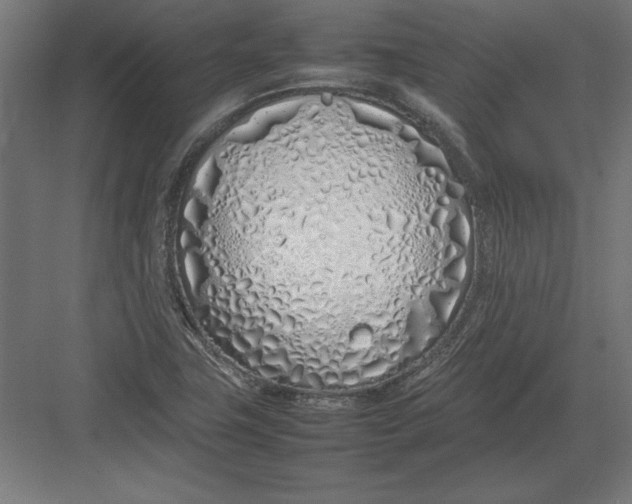 X0000082141411200702092113