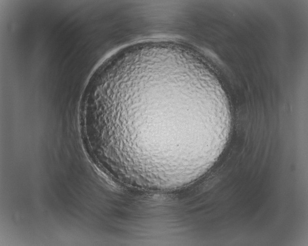 X0000082141412200702092113