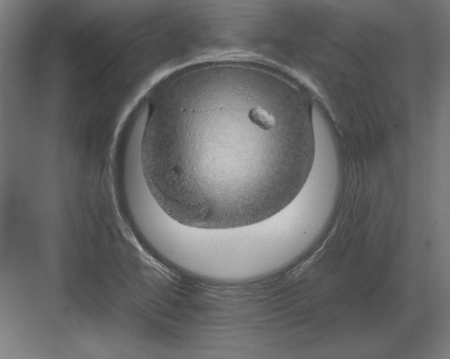 X0000082141414200702092113