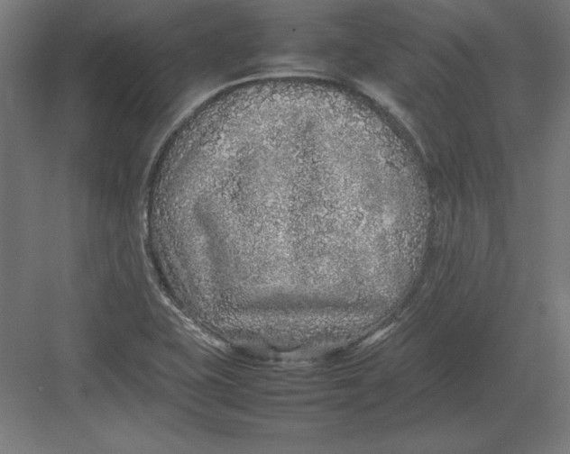 X0000082141415200702092113