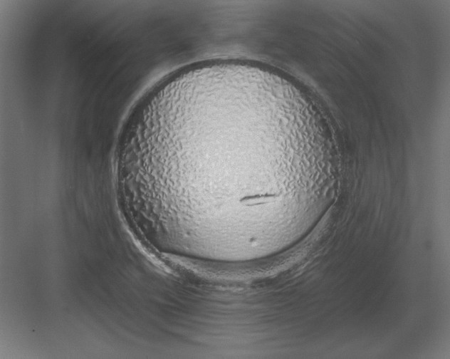 X0000082141416200702092113