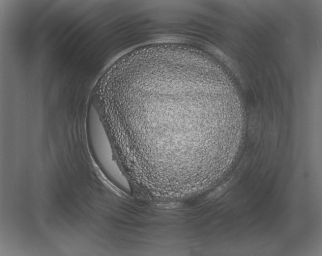 X0000082141417200702092113