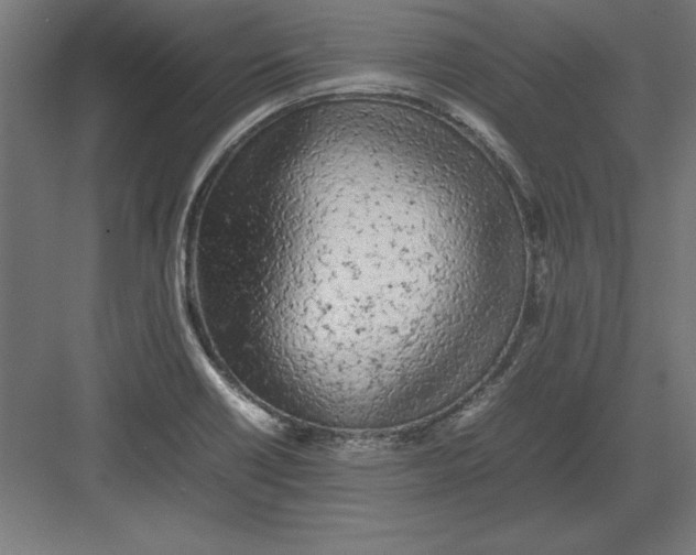 X0000082141418200702092113