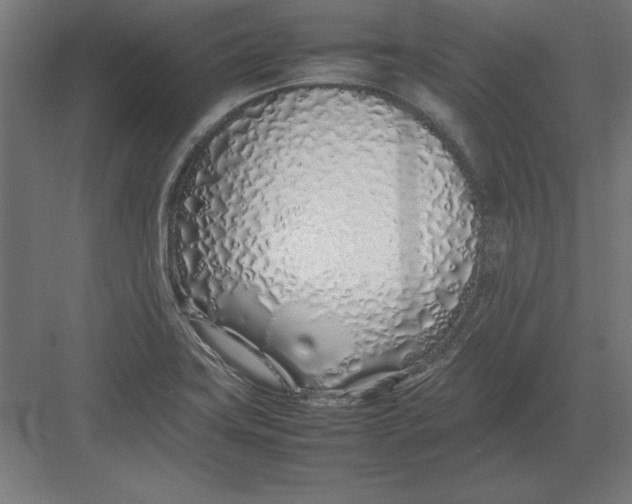 X0000082141419200702092113