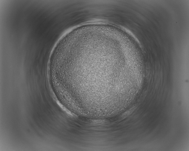 X0000082141421200702092113