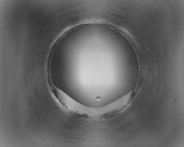 X0000082141422200702092113