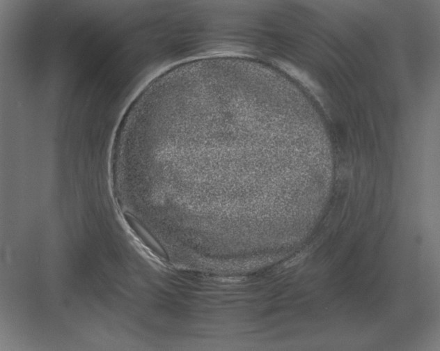 X0000082141423200702092113