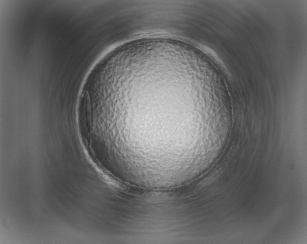 X0000082141424200702092113