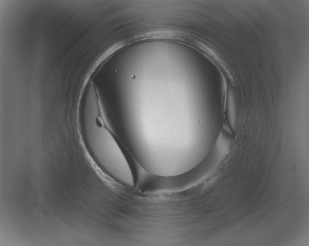 X0000082141426200702092114